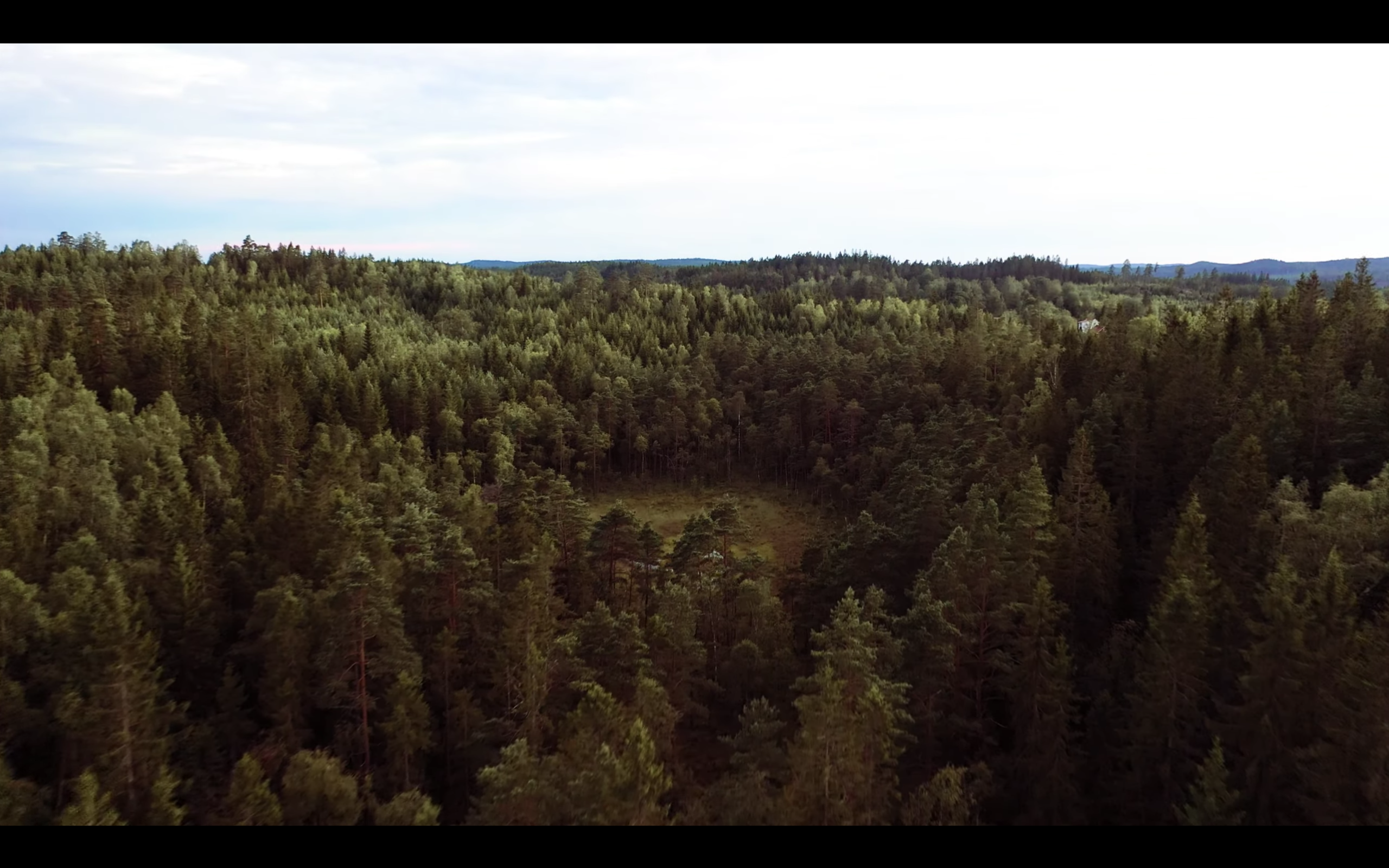 Vår skog är så vacker!